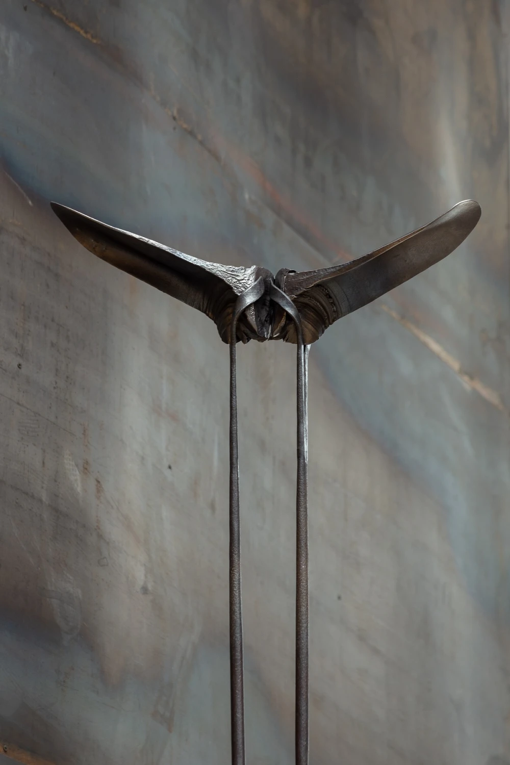 выставки спб 2025 фото